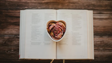 Why Love Is the Ultimate Christian Virtue According to the Bible