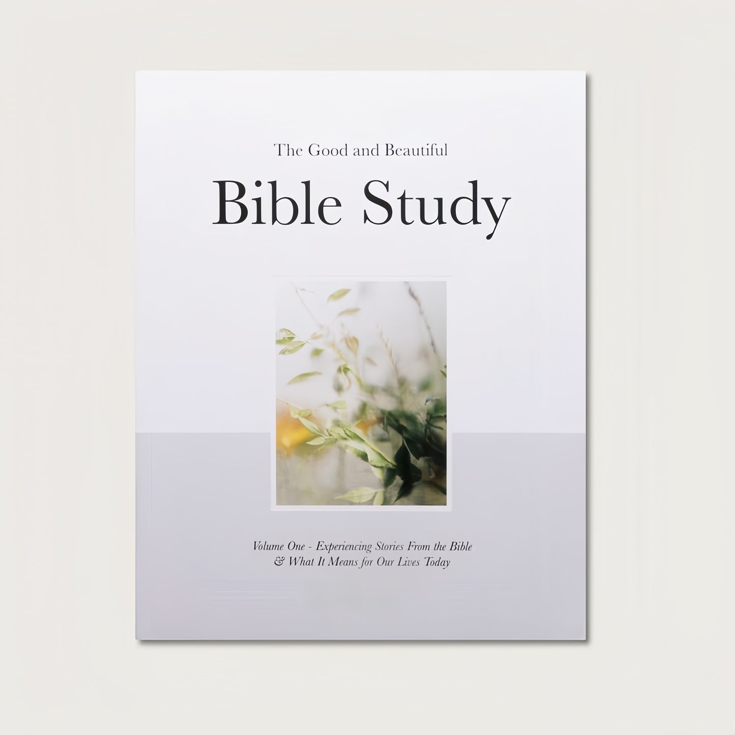 Bible Study Volume 1 | A Good and Beautiful Bible Study