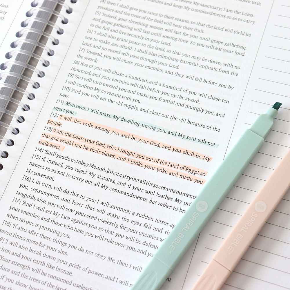 Bible Highlighters with Soft Headed , 6 Pack Assorted Colors Pens No Bleed, Quick Dry, Cute Aesthetic Markers, Bible Study Journaling Supplies and Accessories