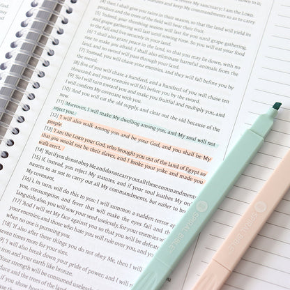 Bible Highlighters with Soft Headed , 6 Pack Assorted Colors Pens No Bleed, Quick Dry, Cute Aesthetic Markers, Bible Study Journaling Supplies and Accessories