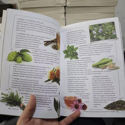 Sustain Me – Holistic Wellness & Herbal Medicine Guide