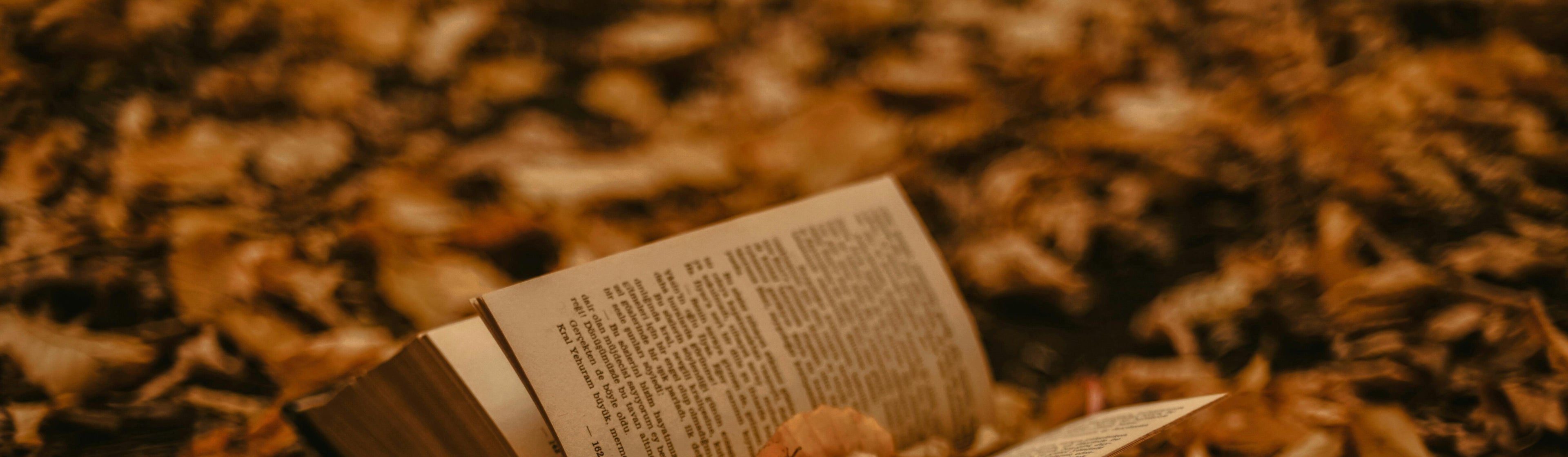 slider image 1621243260e1af0c20-0