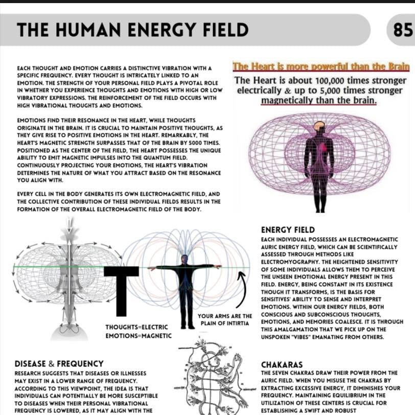 The Book of Wisdom Paperback Volume 1  by H. Joseph